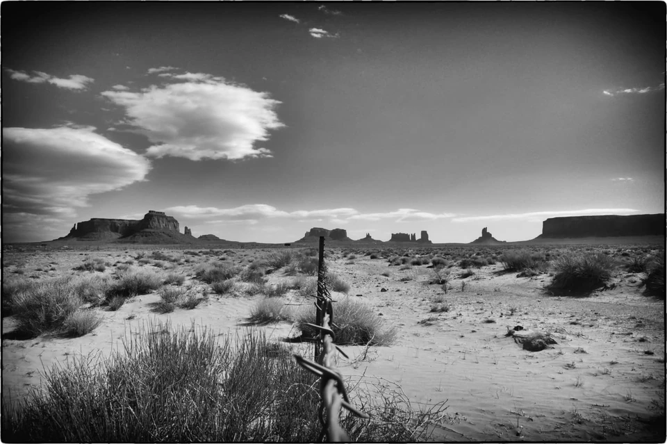 Black & White — photograph 36 of 44