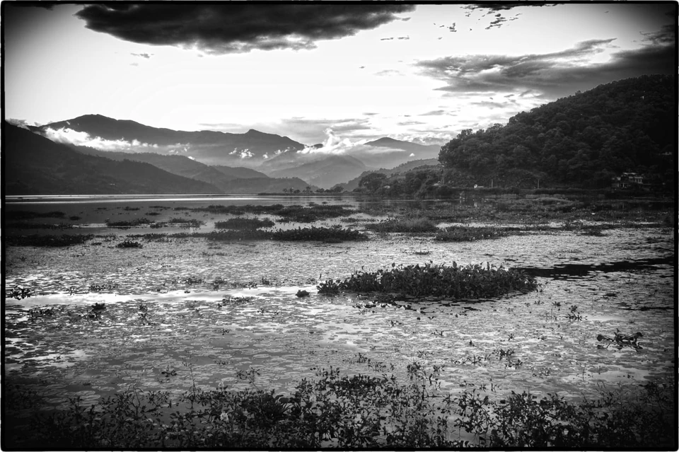 Black & White — photograph 37 of 44
