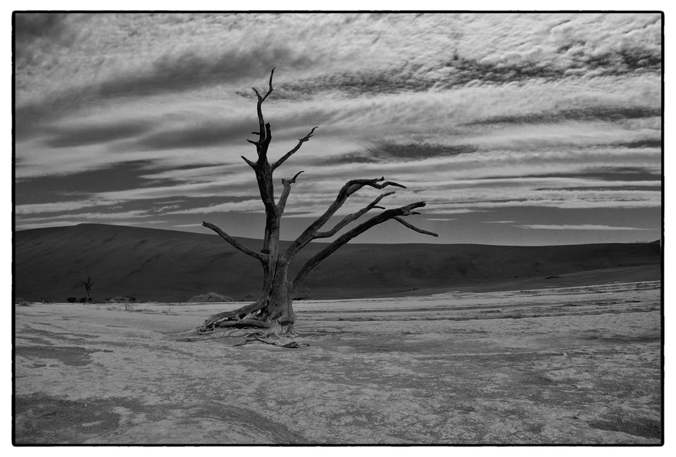 Black & White — photograph 15 of 44