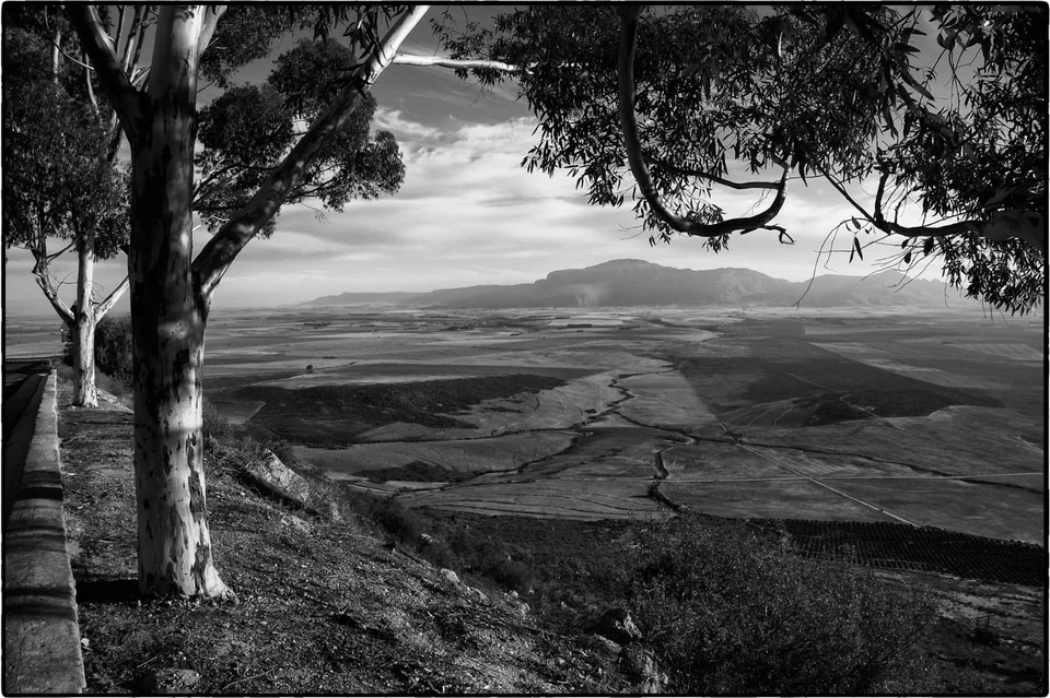 Black & White — photograph 38 of 44
