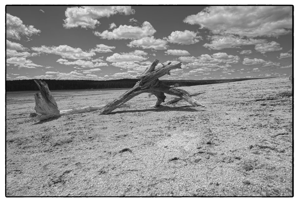 Black & White — photograph 21 of 44