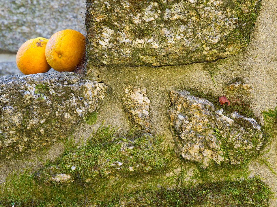 Color — photograph 13 of 73