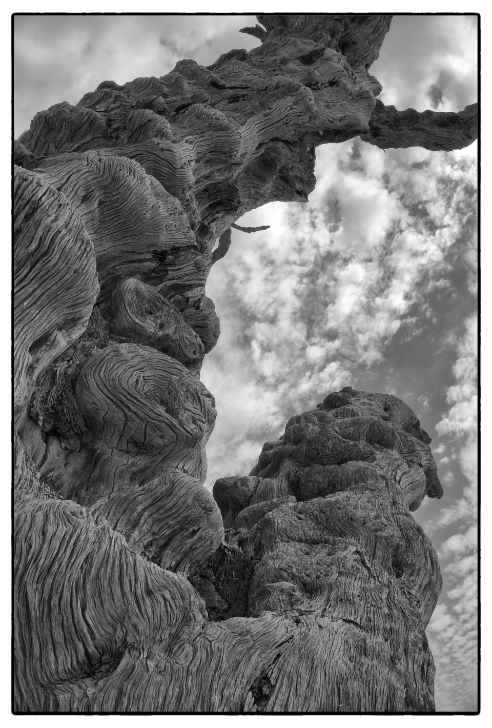 Black & White — photograph 23 of 44