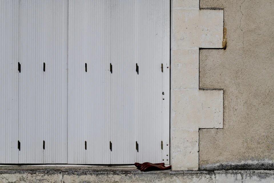 Vidi aliquid (2016 - ~) — photograph 37 of 92