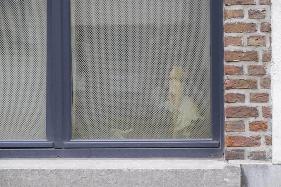 Vidi aliquid (2016 - ~) — photograph 39 of 92