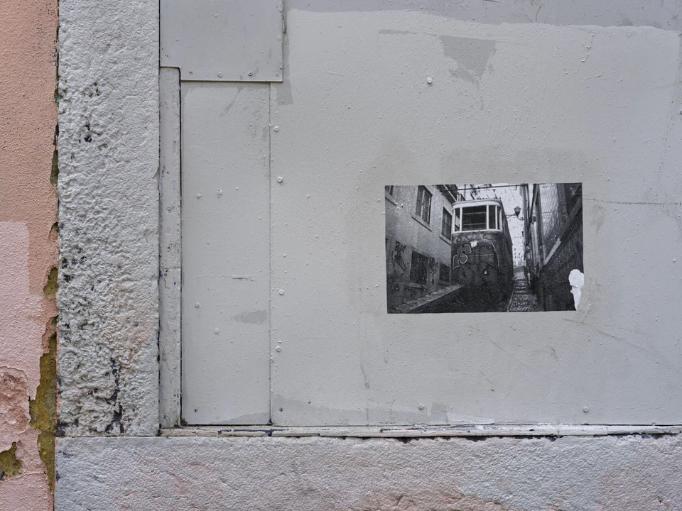 Vidi aliquid (2016 - ~) — photograph 61 of 92