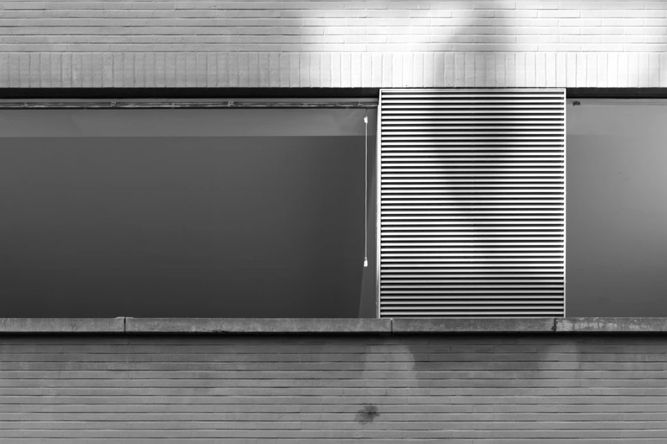 Vidi aliquid (2016 - ~) — photograph 89 of 92