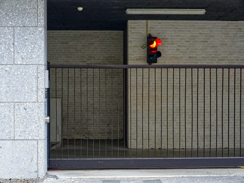 Vidi aliquid (2016 - ~) — photograph 69 of 92