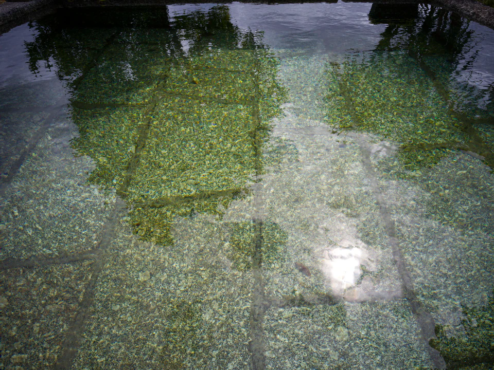 Louck de Bruijn — NEW — photograph 10 of 30