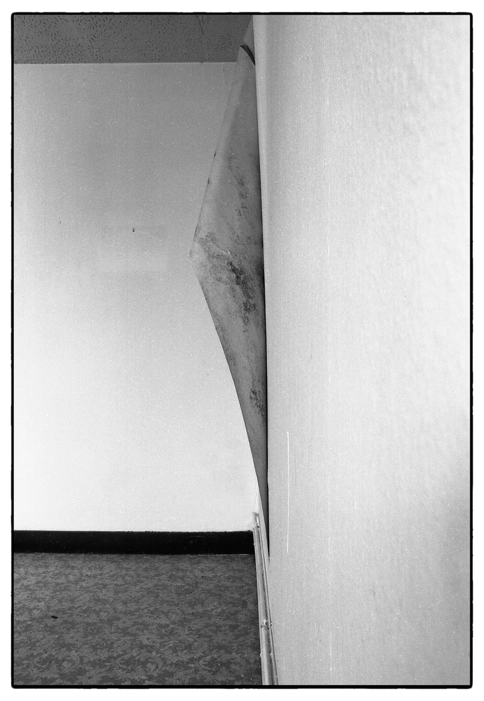 Louck de Bruijn — NEW — photograph 3 of 30