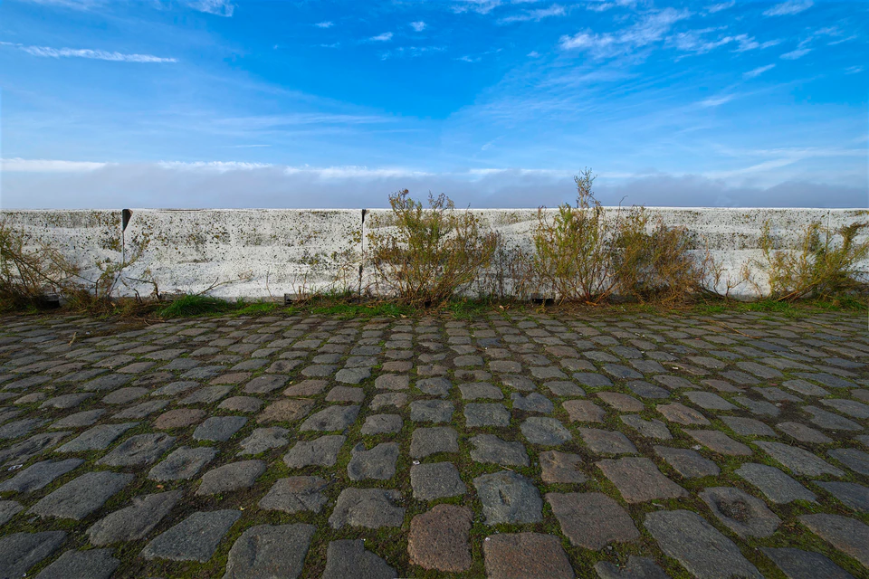 Louck de Bruijn — NEW — photograph 4 of 30