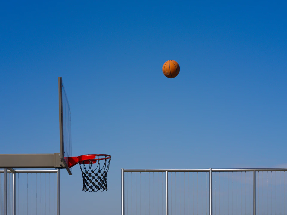 Color — photograph 51 of 73