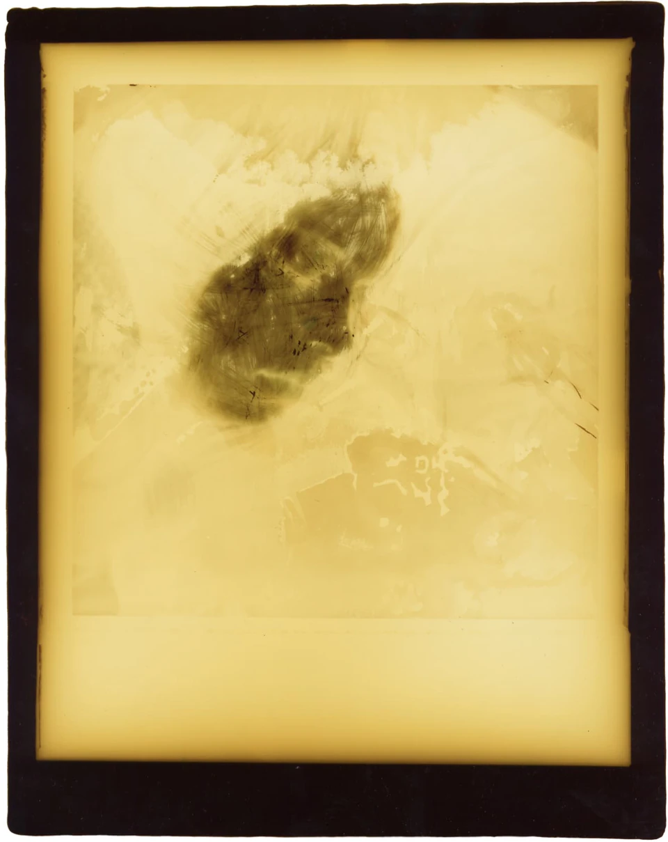 Polaroid Sidesteps (1979) — photograph 6 of 8