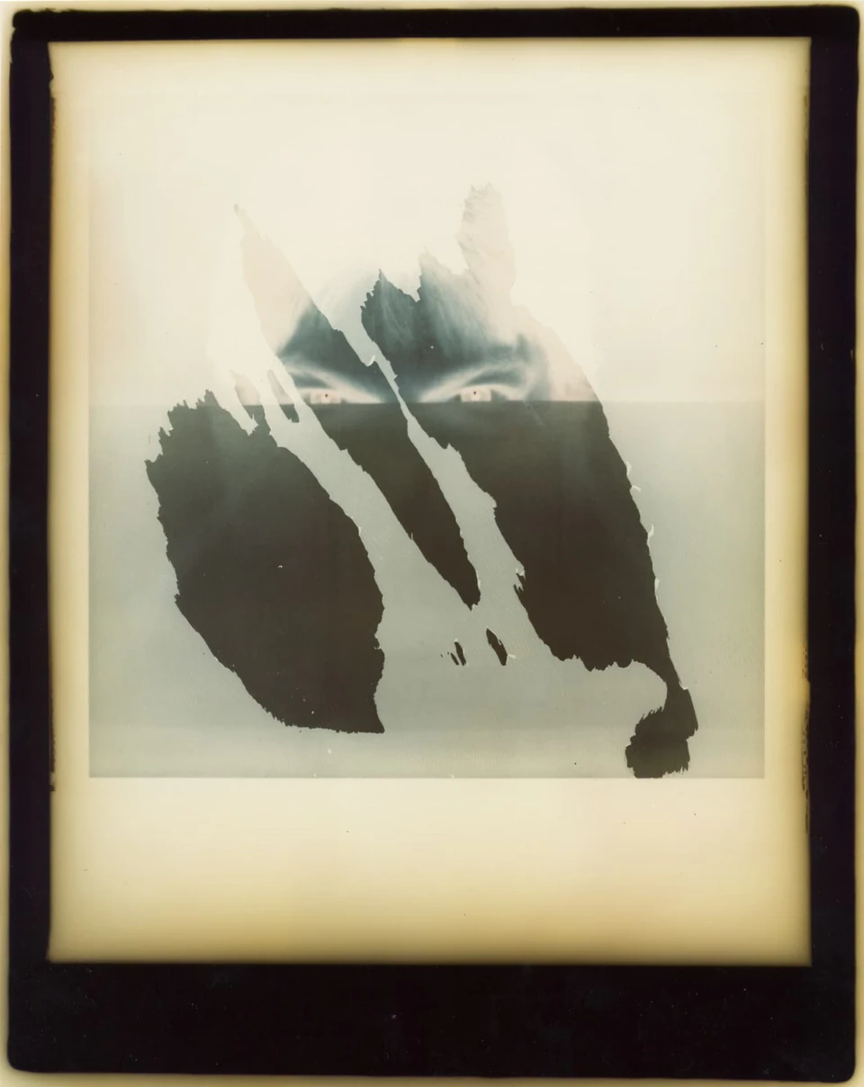 Polaroid Sidesteps (1979) — photograph 7 of 8