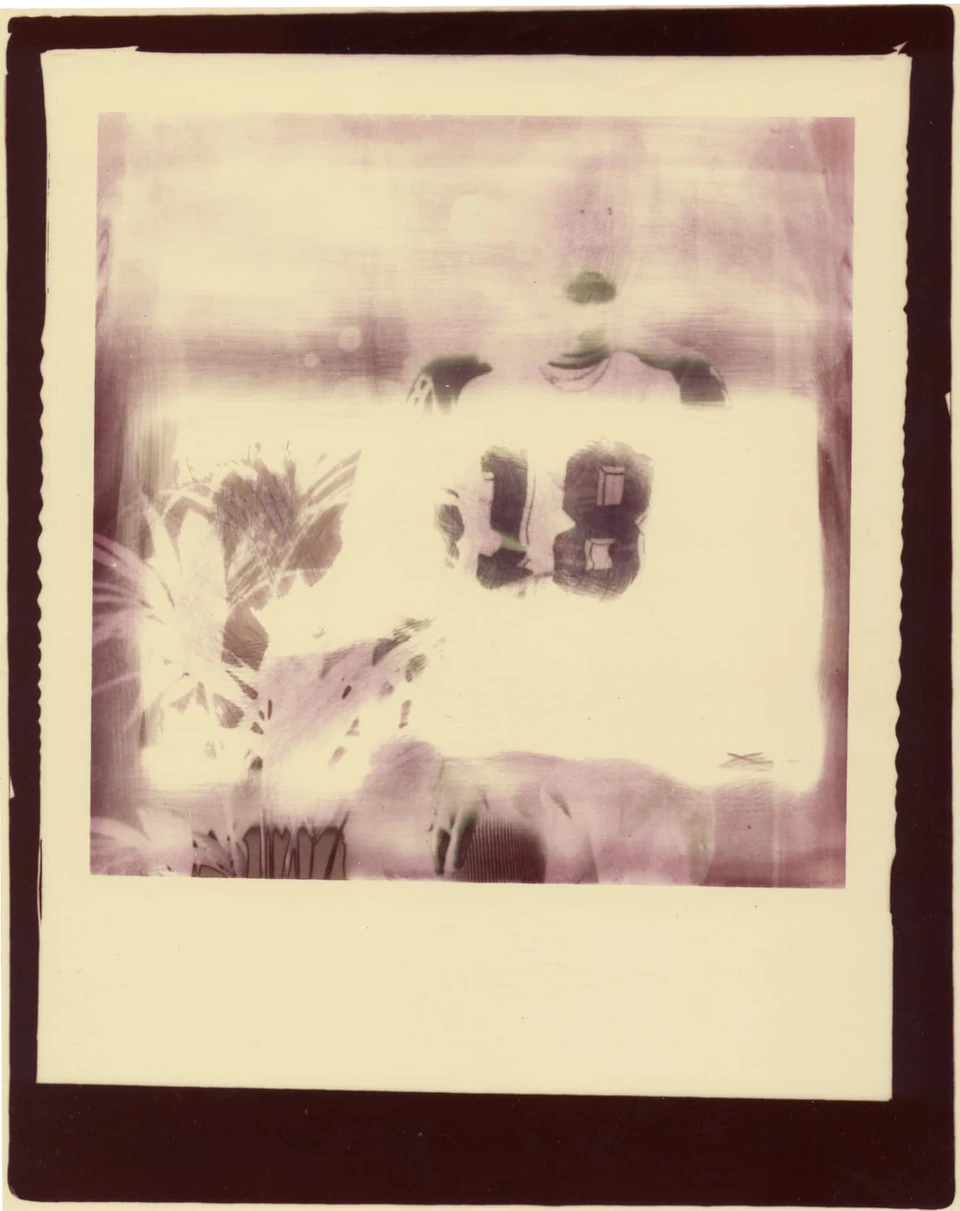 Polaroid Sidesteps (1979) — photograph 8 of 8