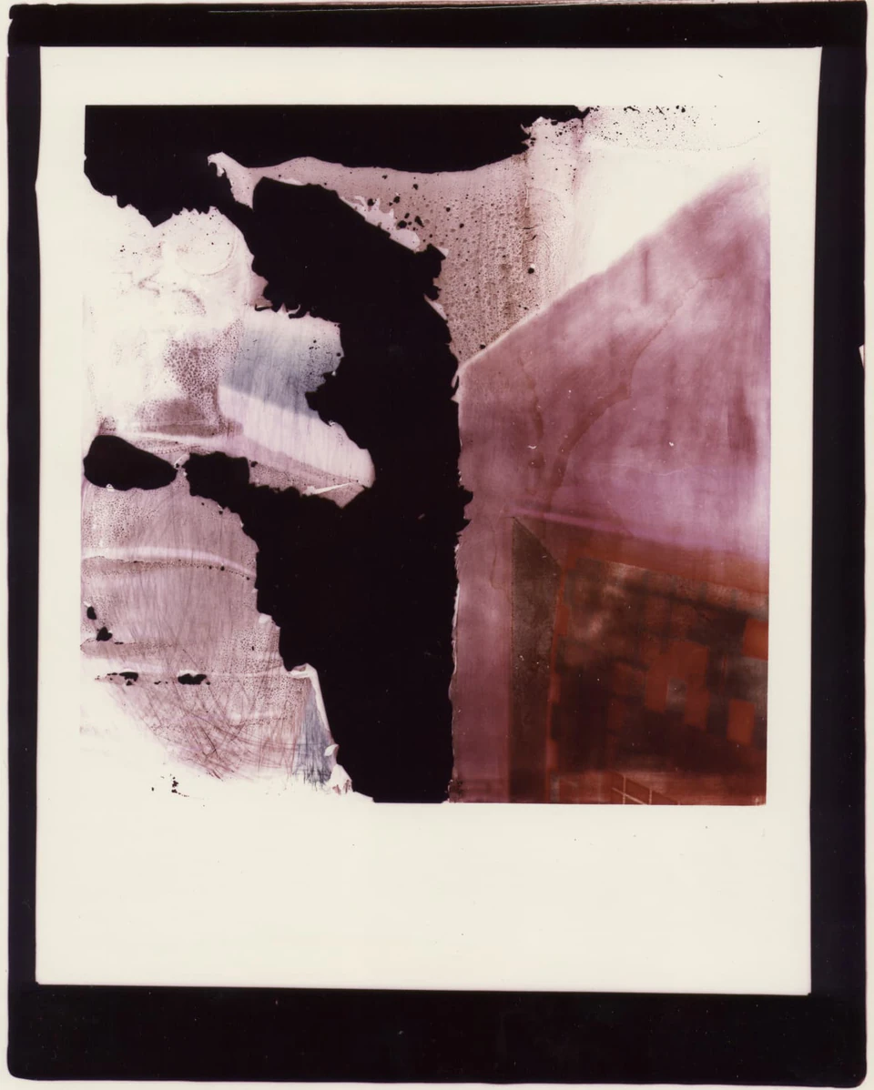 Polaroid Sidesteps (1979) — photograph 2 of 8