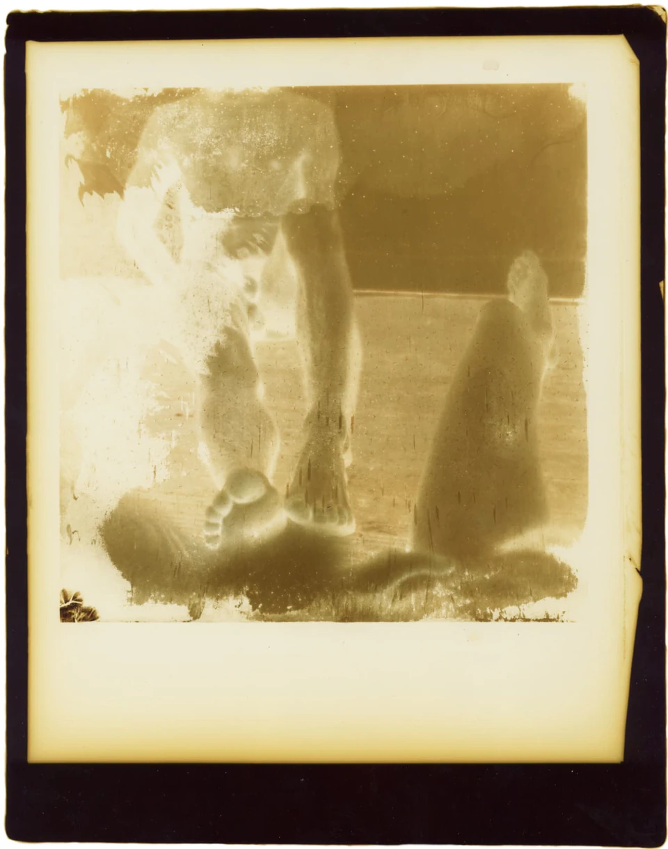 Polaroid Sidesteps (1979) — photograph 3 of 8