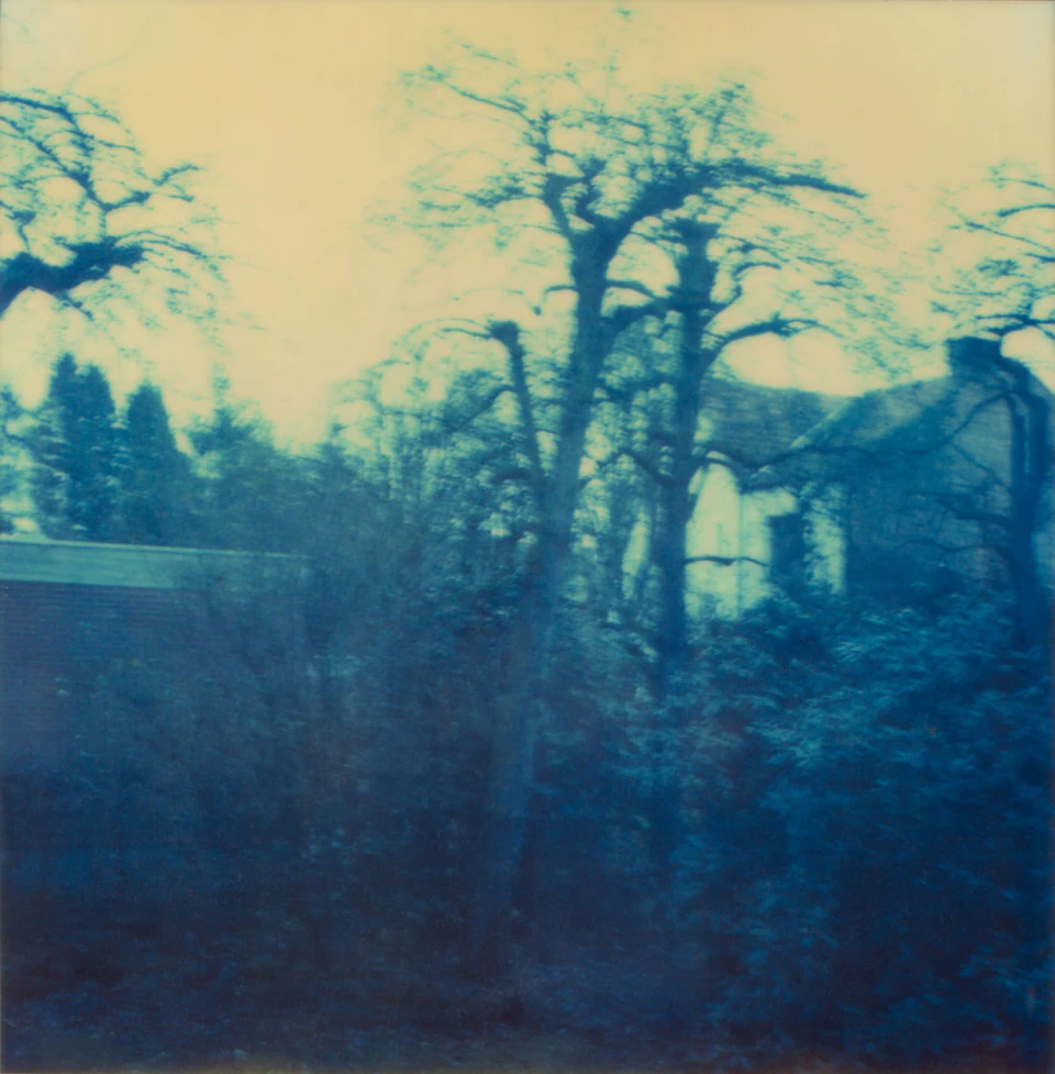 Polaroid Views (1979 - ~) — photograph 12 of 20