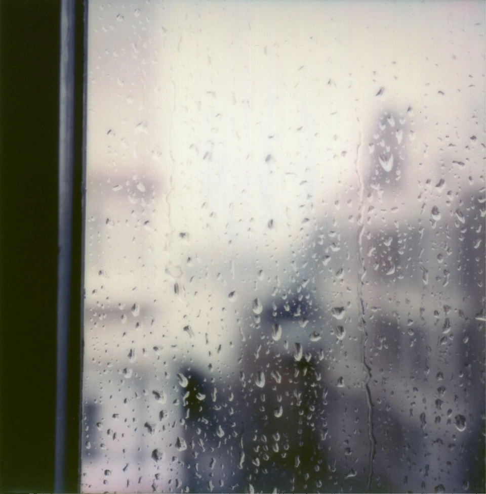 Polaroid Views (1979 - ~) — photograph 14 of 20