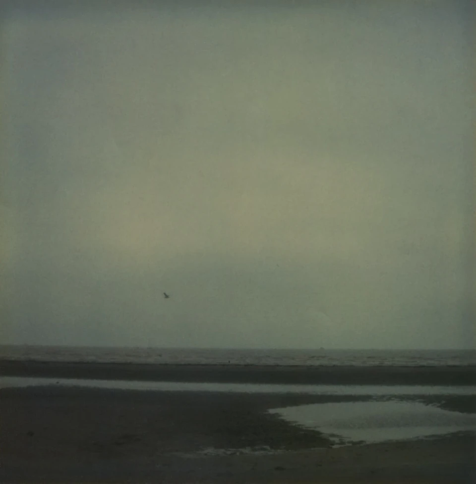Polaroid Views (1979 - ~) — photograph 9 of 20