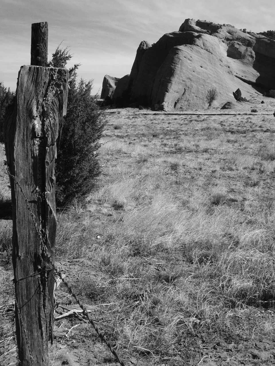 Black & White — photograph 43 of 44